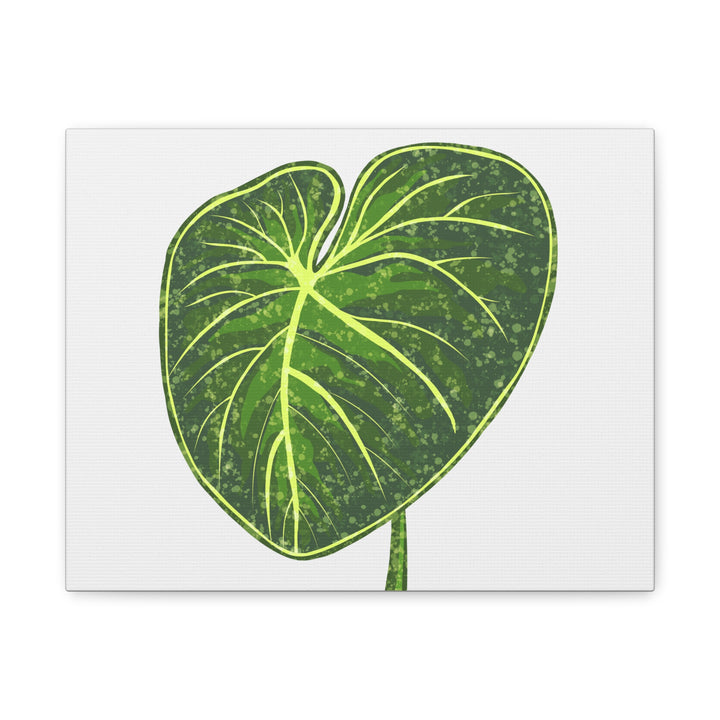 Philodendron Gloriosum Canvas Print Stretched Wall Art Botanical Leaf Print Matte Finish Gallery Wrapped Canvas