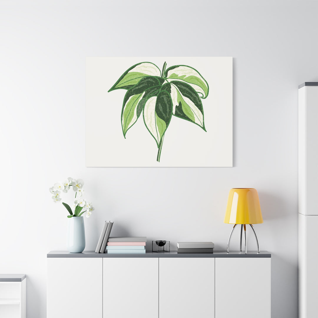 Philodendron Canvas Print Cream Splash Variegated Plant Art On Matte Cotton Canvas For Home Wall Decor