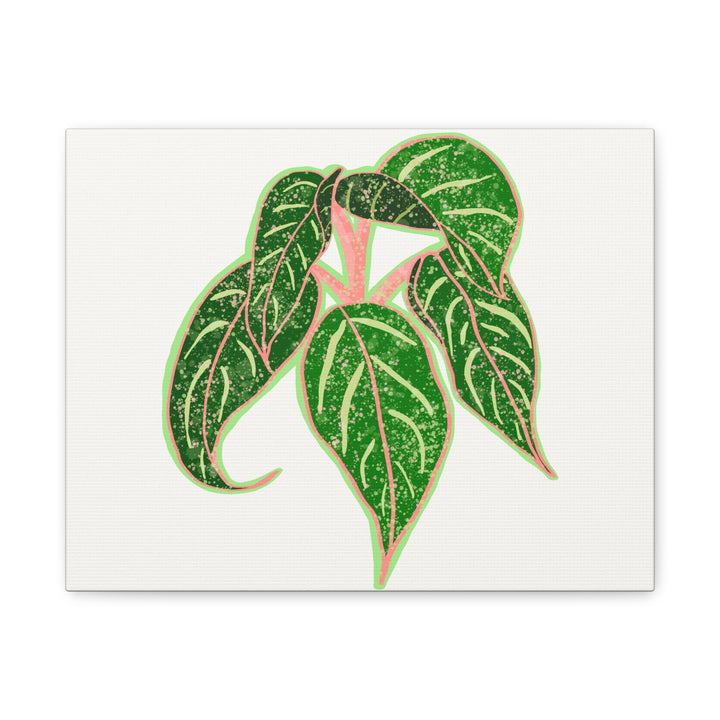 Aglaonema Sparkling Sarah Botanical Canvas Print On Matte Stretch Canvas For Modern Living Room Decor