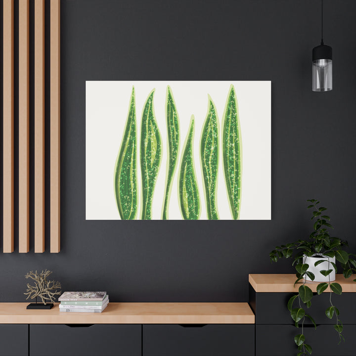 Snake Plant Canvas Print Matte 1.25 Inch Stretch Canvas Wall Art For Living Room Decor