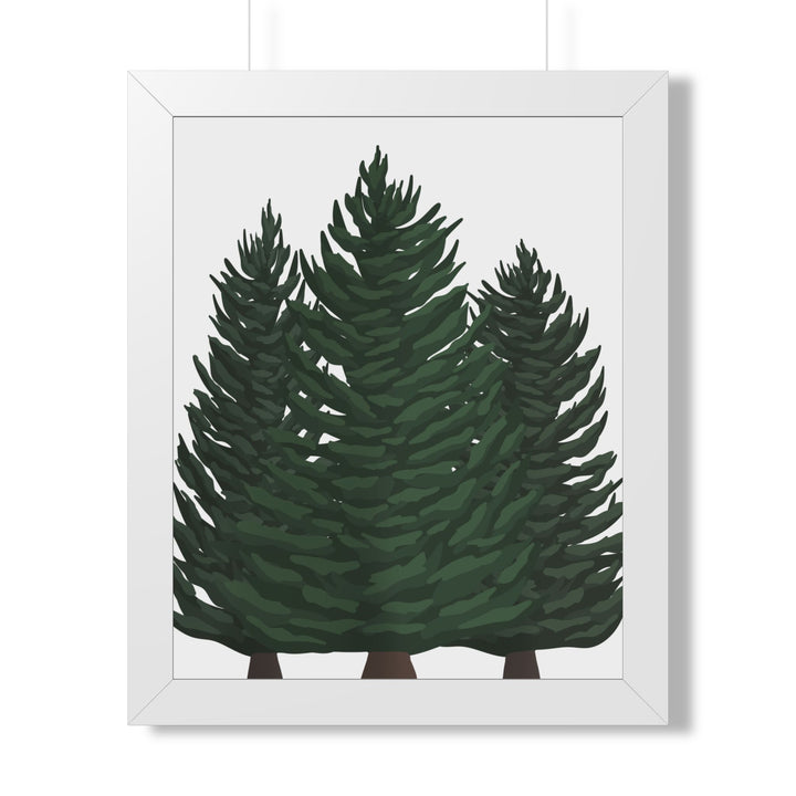 Douglas Fir Framed Print – Wall Art