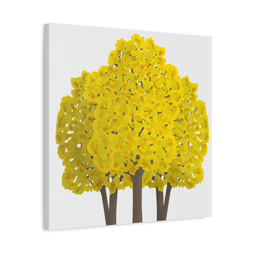 Big Leaf Maple Canvas Print – Wall Art