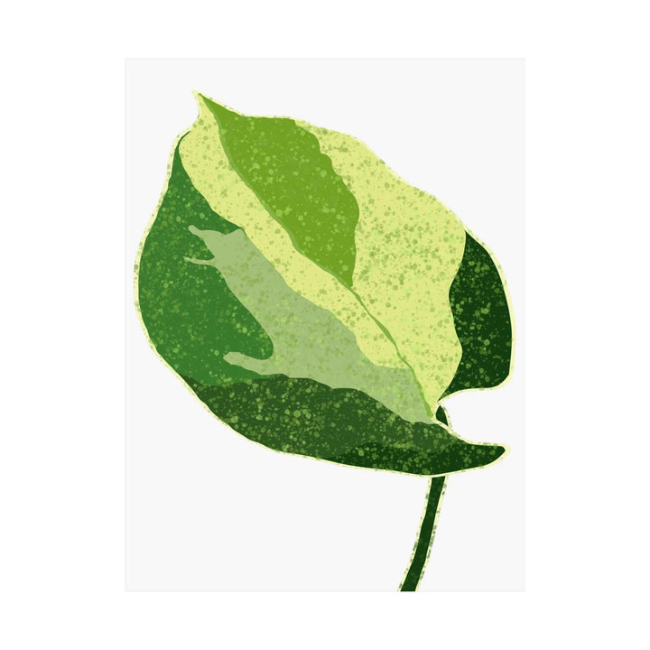 Pothos Wall Art – Botanical Poster on Museum Grade Paper | Indoor Plant Print Unframed - The Potted Pixel