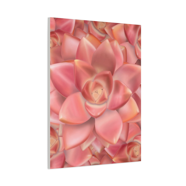 Graptosedum California Sunset Succulent Canvas Print – Botanical Wall Art - The Potted Pixel