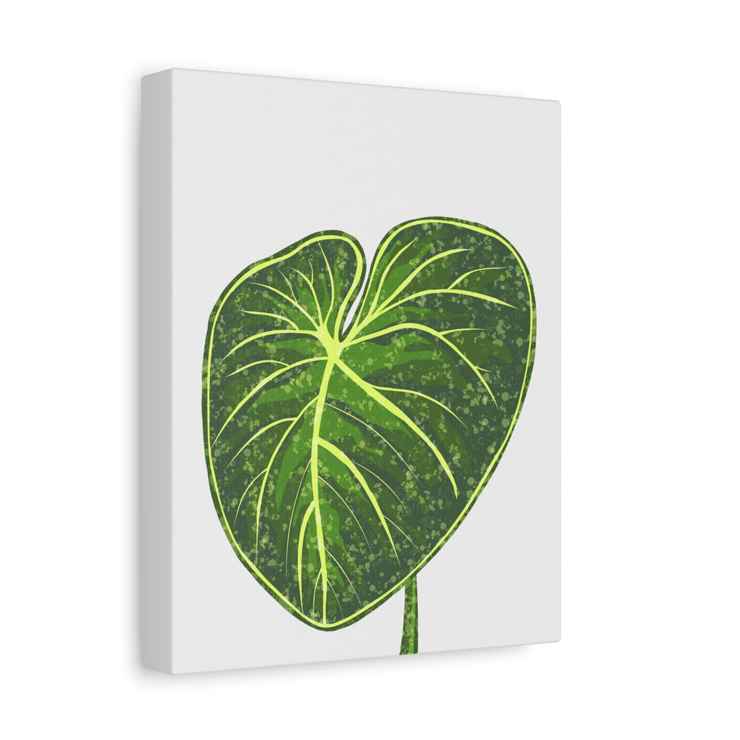 Philodendron Gloriosum Canvas Print Stretched Wall Art Botanical Leaf Print Matte Finish Gallery Wrapped Canvas