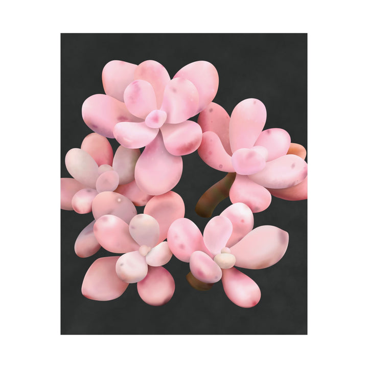 Pink Moonstone Botanical Print – Unframed Wall Art