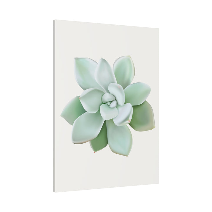 Succulent Canvas Art Pachyveria Haagei Print On Matte Finish Canvas Botanical Wall Decor