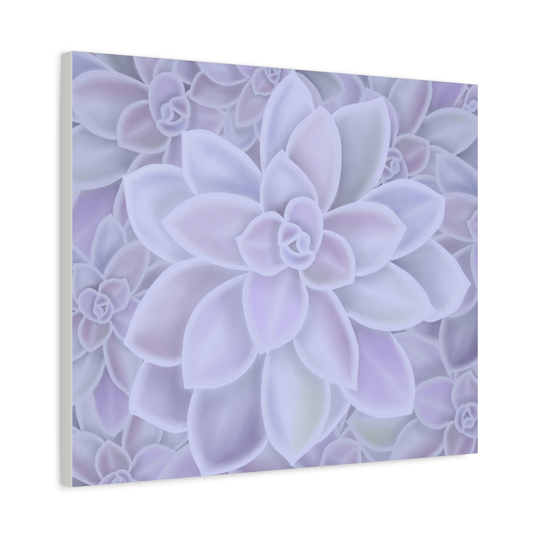 Graptopetalum Murasaki Succulent Canvas Art Print Pastel Purple Rosette Indoor Plant Decor