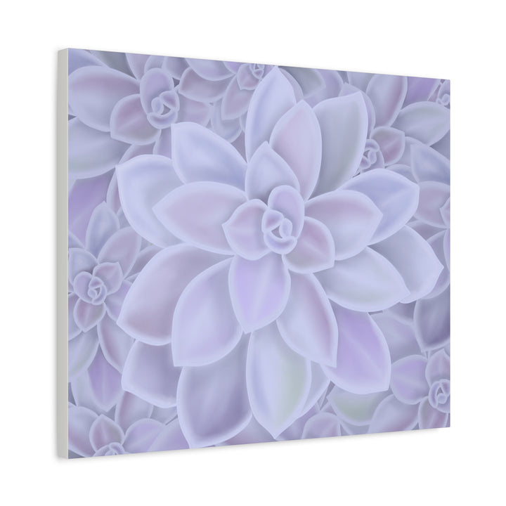 Graptopetalum Murasaki Succulent Canvas Art Print Pastel Purple Rosette Indoor Plant Decor