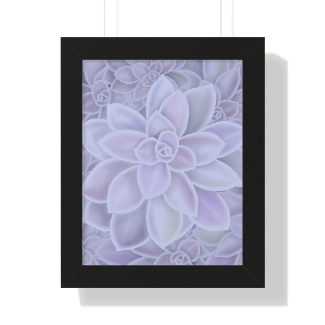 Graptopetalum Murasaki Succulent Pattern Framed Print – Botanical Wall Art