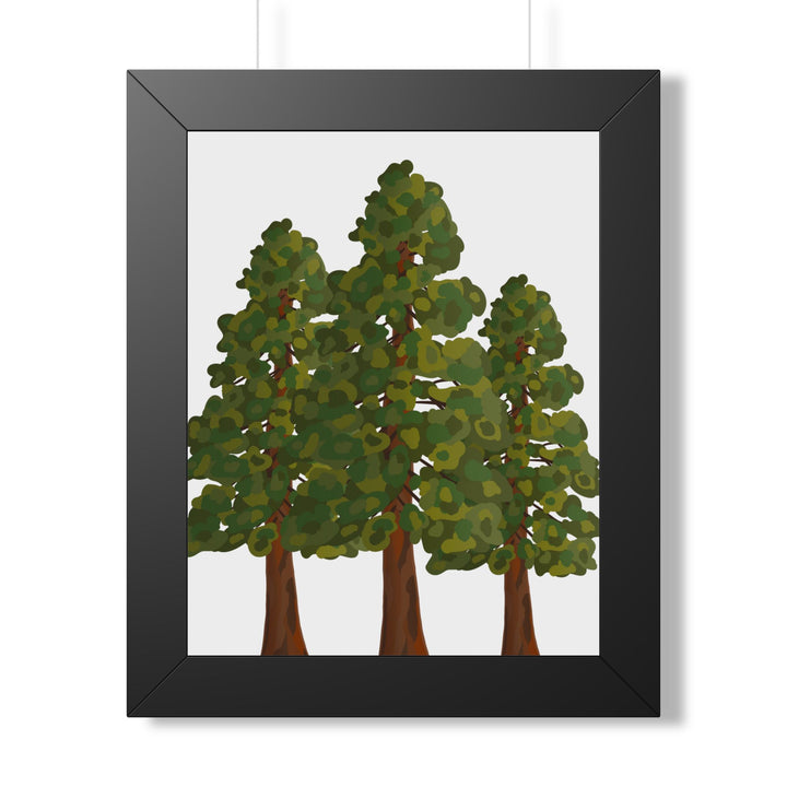 Coastal Redwood Framed Print – Wall Art