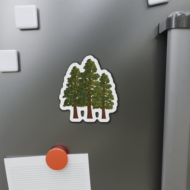 Coast Redwoods Magnet