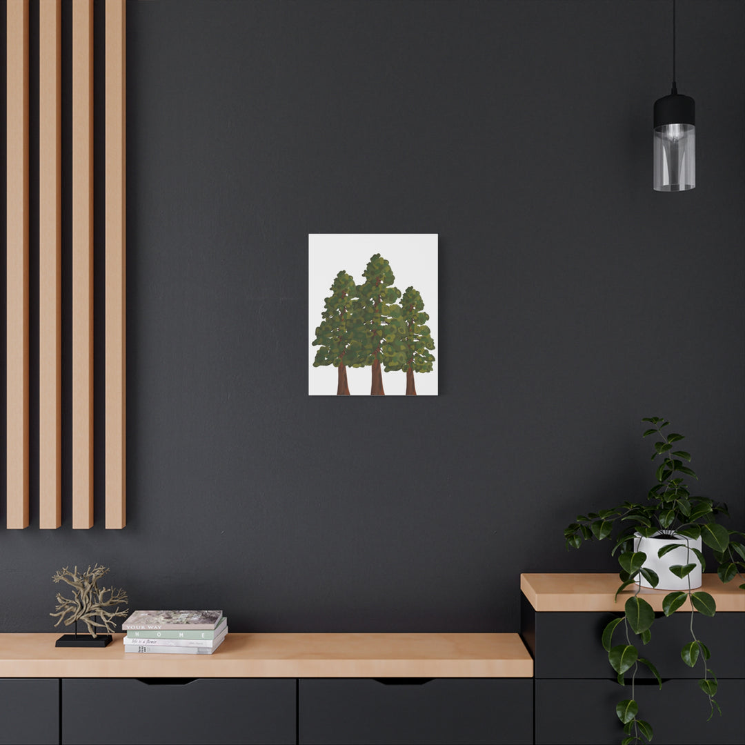 Coastal Redwoods Matte Canvas Print On 1.25 Inch Stretched Canvas For Serene Forest Wall Art In Living Rooms
