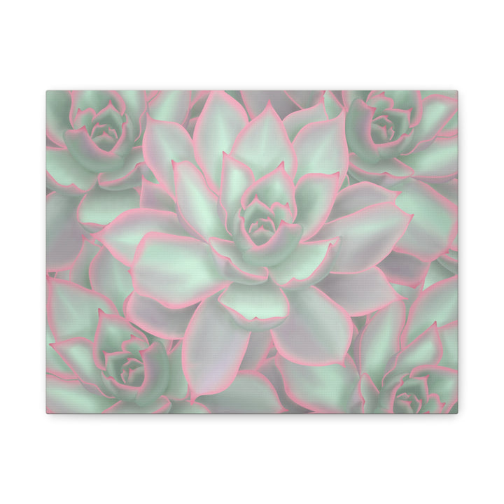 Echeveria Violet Queen Canvas Wall Art Succulent Print Matte Botanical Decor For Indoor Spaces