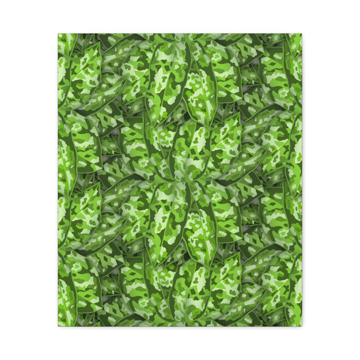 Aglaonema Pictum Canvas Wall Art Rare Plant Print Matte Finish For Modern Home Decor