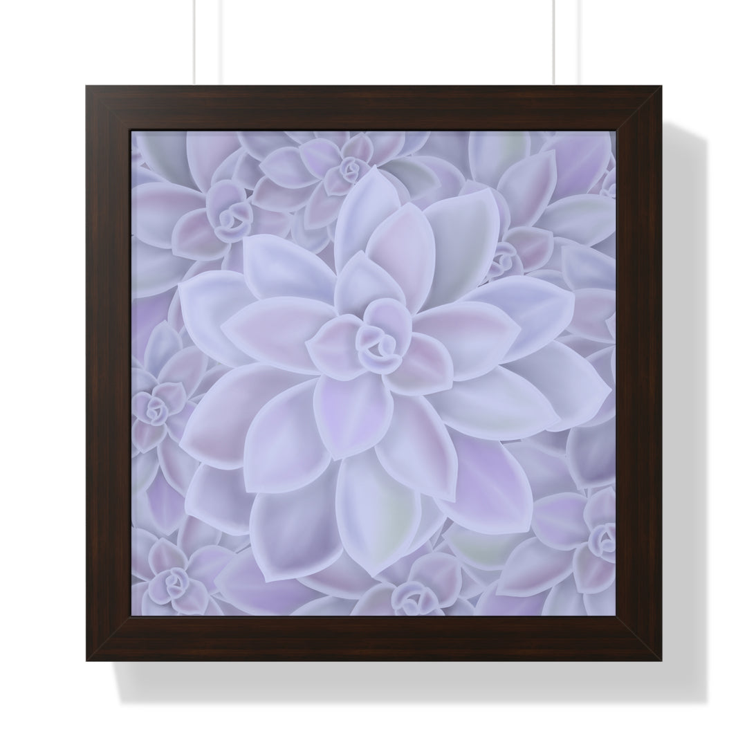 Graptopetalum Murasaki Succulent Framed Print – Botanical Wall Art - The Potted Pixel