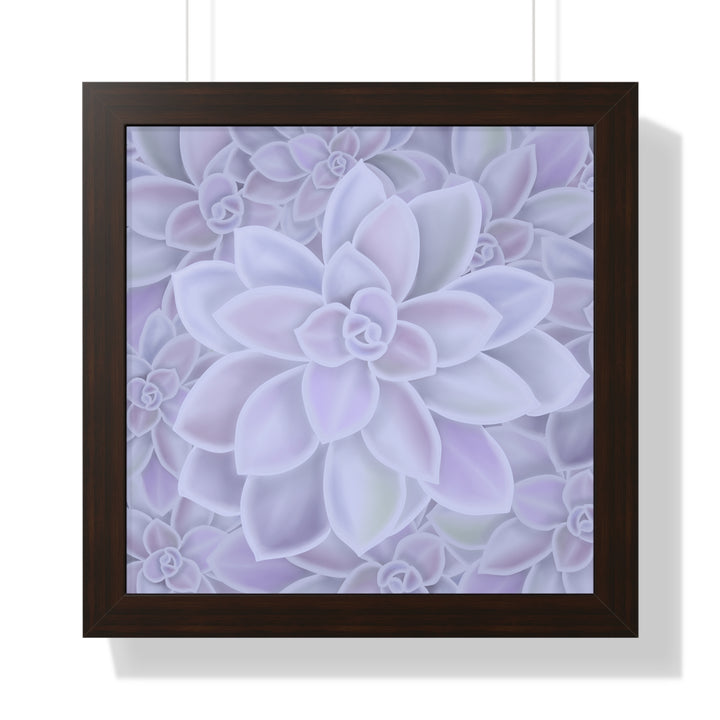 Graptopetalum Murasaki Succulent Framed Print – Botanical Wall Art - The Potted Pixel