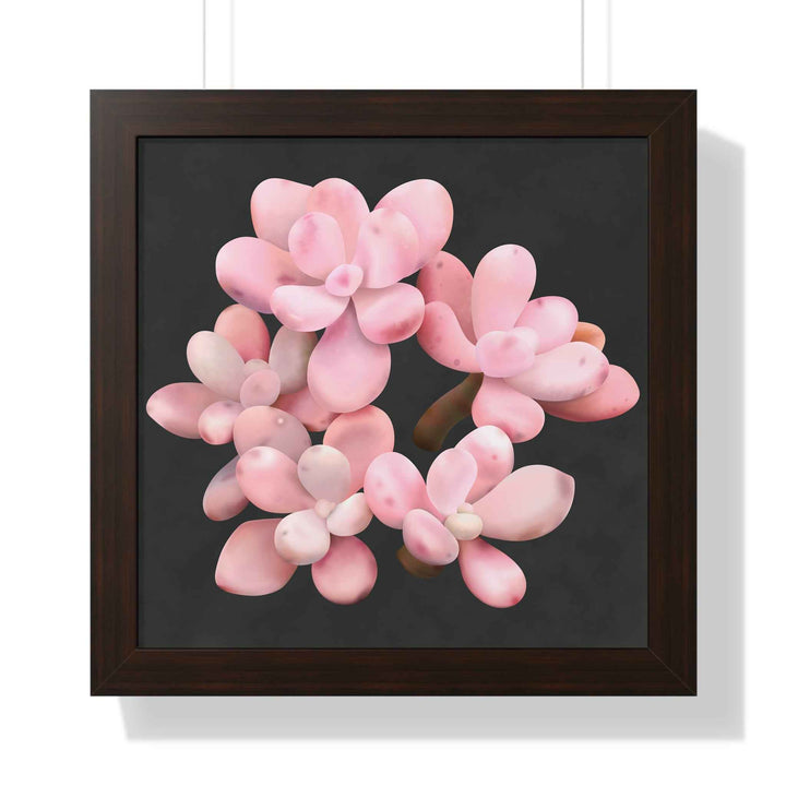 Pink Moonstone Succulent Framed Poster Vertical Botanical Wall Art