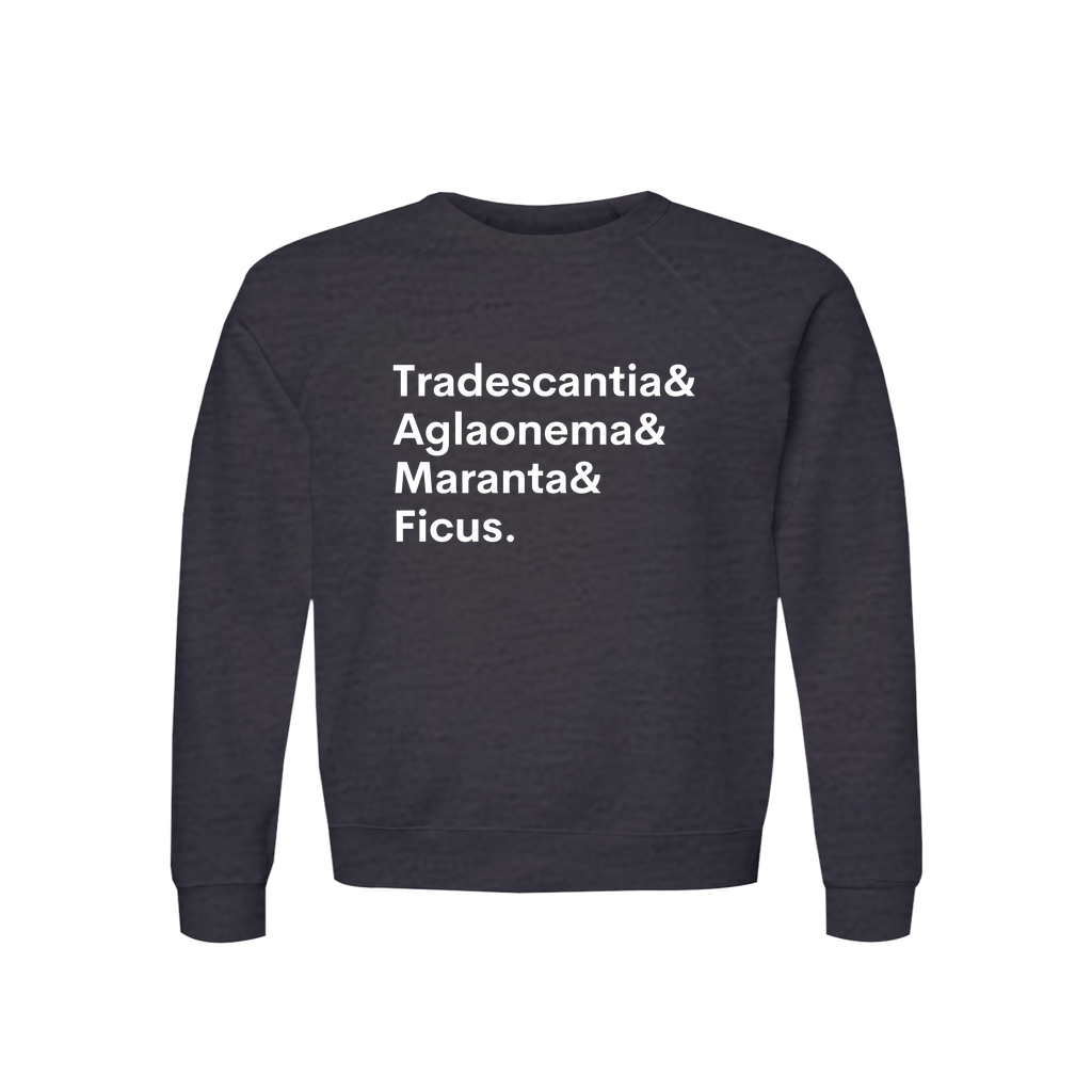 Apparel-DTG-Sweatshirt-Bella-3901-M-DarkGreyHeather-Unisex-CF-20260810201746701