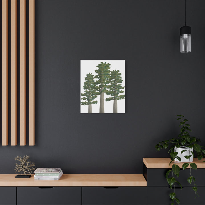 Sitka Spruce Canvas Print – Wall Art