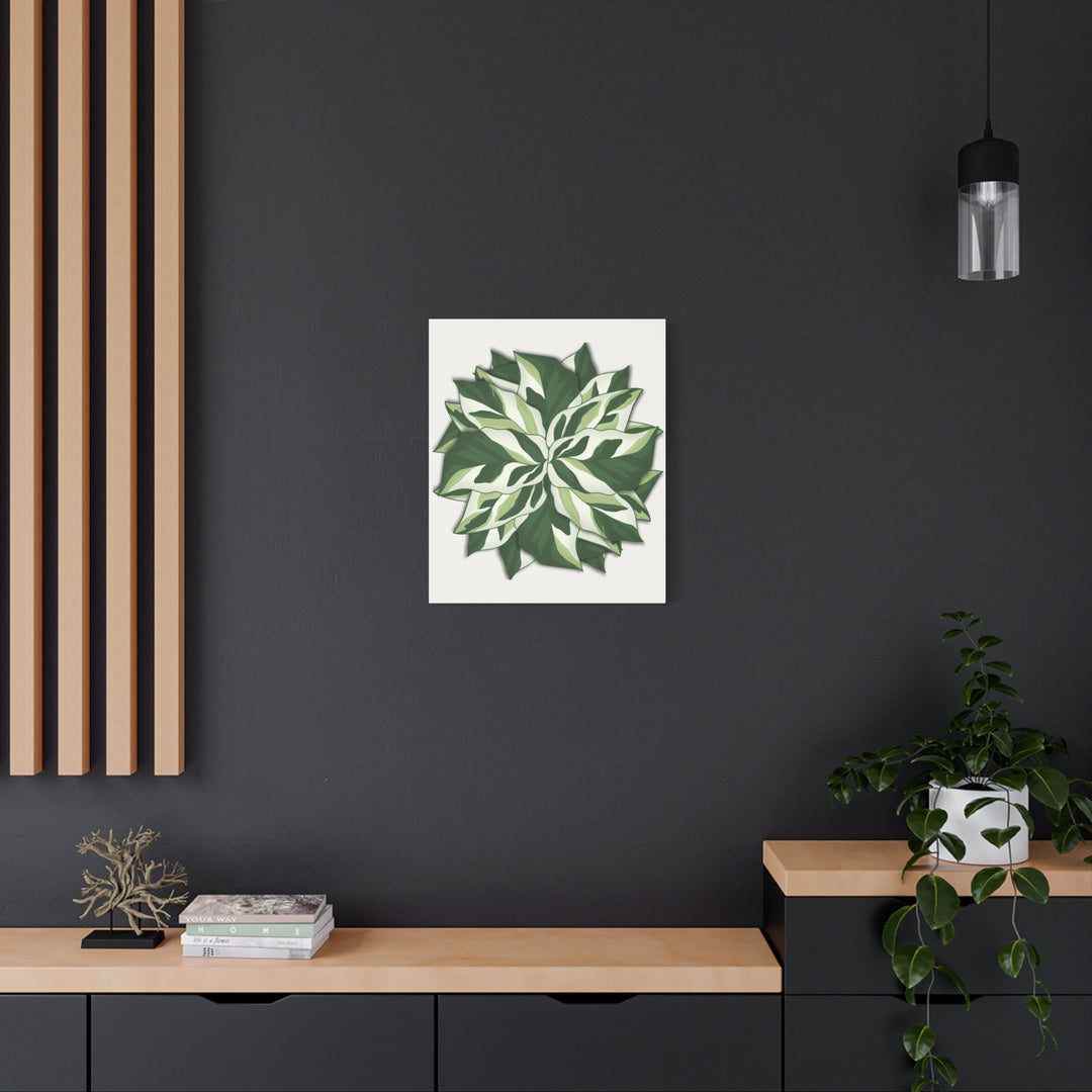 Calathea White Fusion Canvas Botanical Art Print On Stretched Cotton Canvas For Indoor Wall Decor