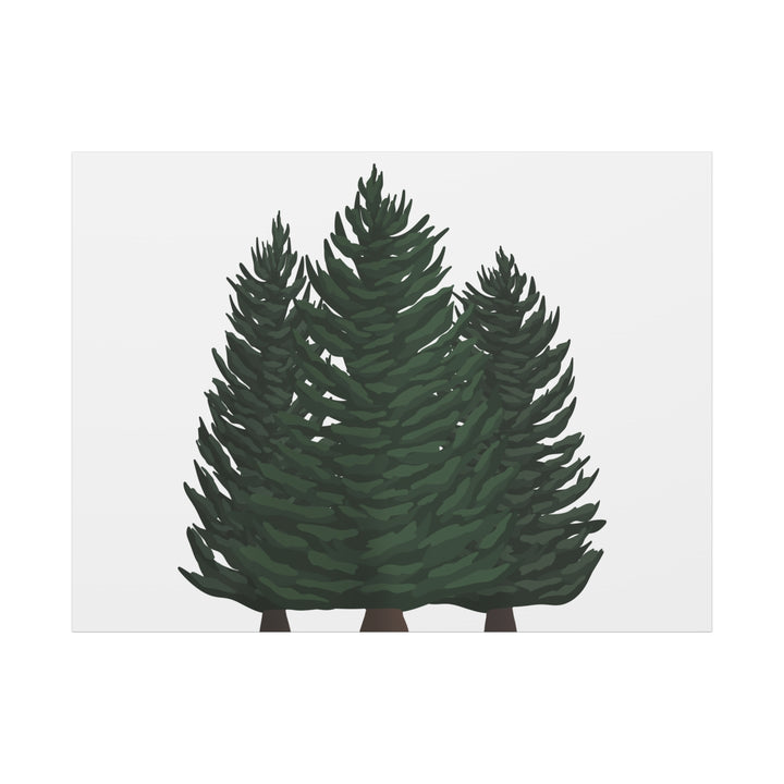 Douglas Fir Canvas Print – Wall Art
