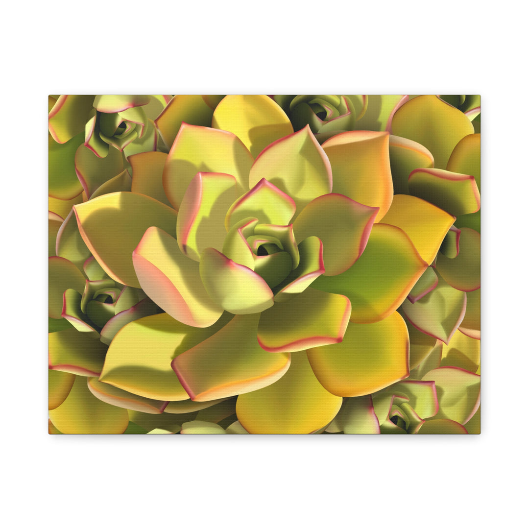Succulent Canvas Art Vibrant Aeonium Print On Matte Canvas Wall Decor 12x18 Inches Indoor Home