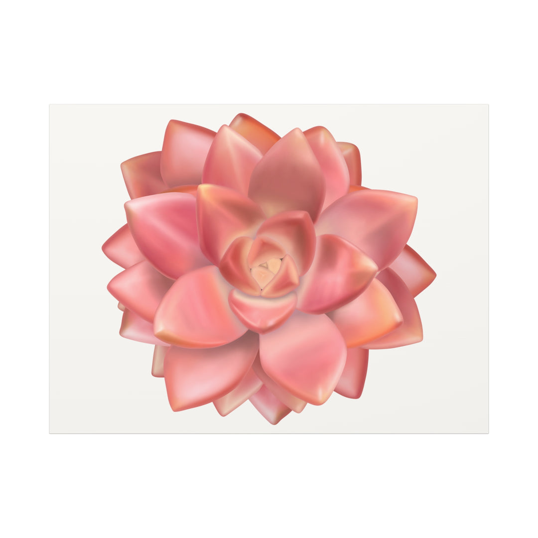 Succulent Canvas Art California Sunset Rosette Botanical Wall Art Print The Potted Pixel