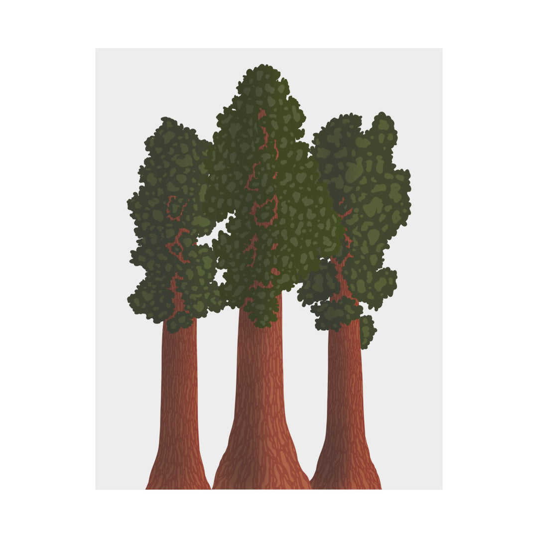 Giant Sequoias Print – Unframed Wall Art