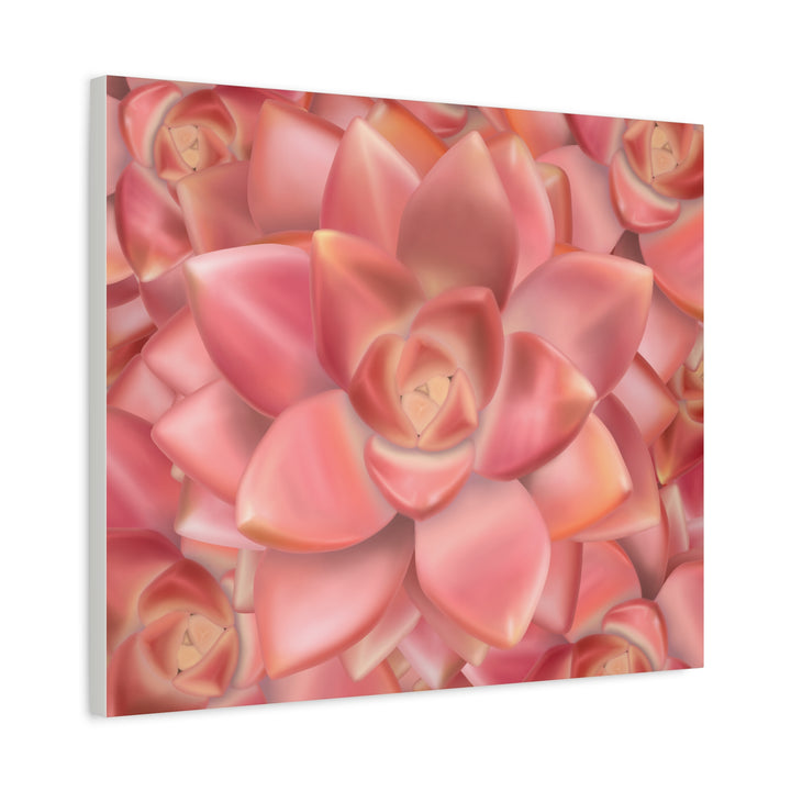 Graptosedum California Sunset Succulent Canvas Print – Botanical Wall Art - The Potted Pixel