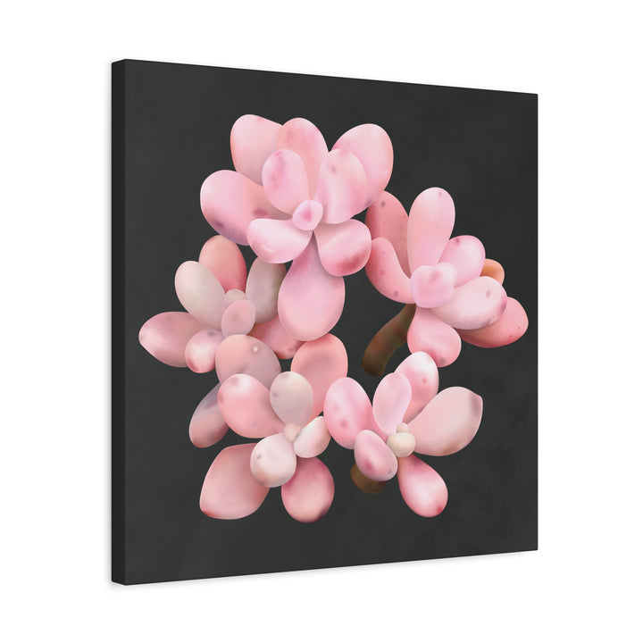 Pink Moonstone Canvas Print – Botanical Wall Art