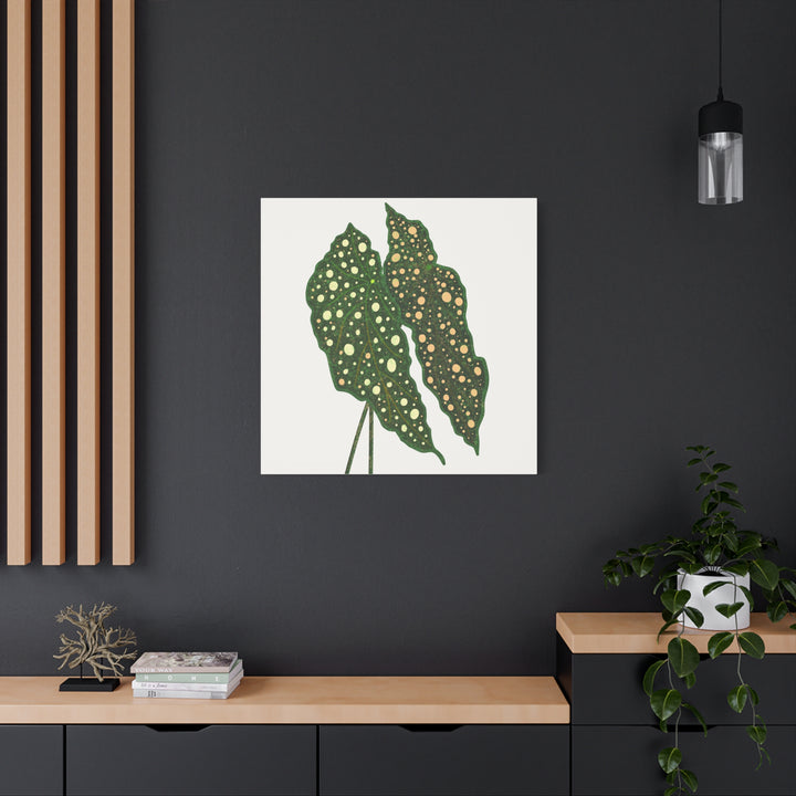 Begonia Maculata Canvas Premium Botanical Wall Art Print On Cotton Canvas With Matte Finish For Indoor Decor