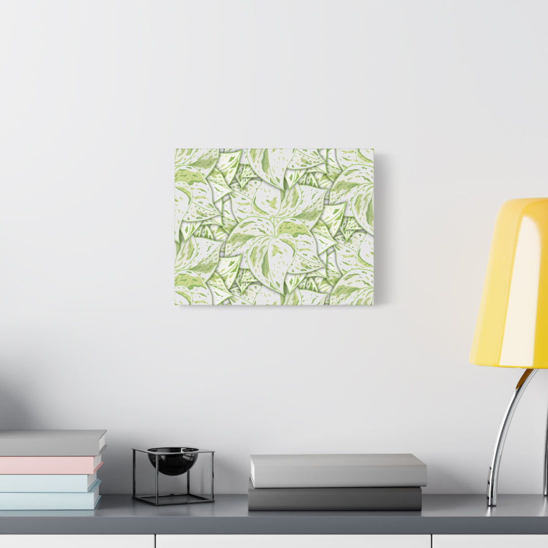 Snow Queen Pothos Canvas Print With Variegated White Leaves In Matte Finish For Modern Home Decor