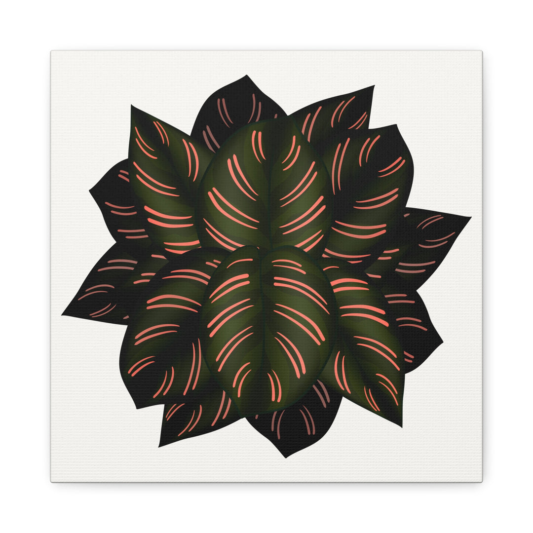 Calathea Pinstripe Canvas Botanical Wall Art Print On Stretched Cotton Canvas For Living Room Decor