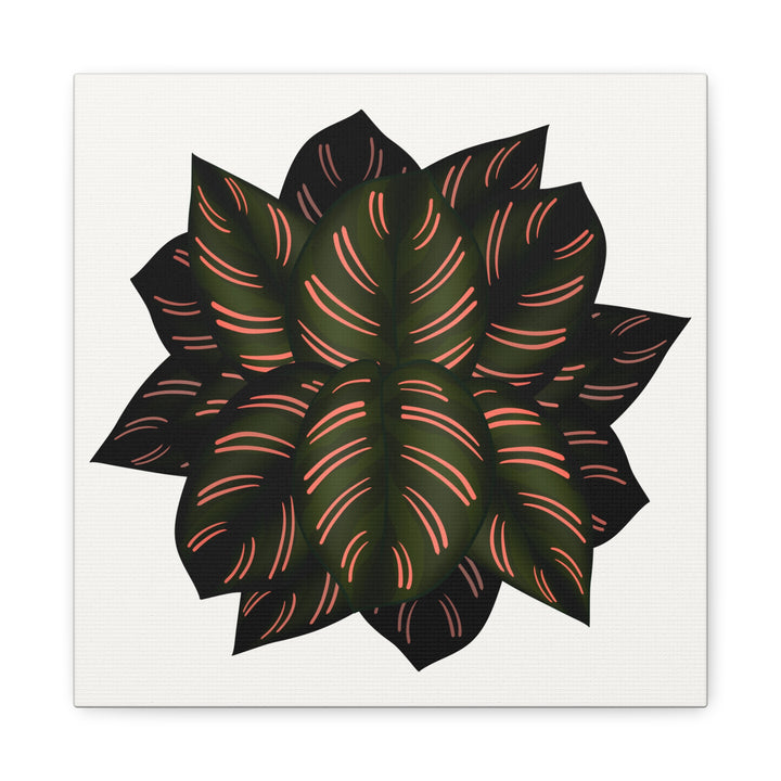 Calathea Pinstripe Canvas Botanical Wall Art Print On Stretched Cotton Canvas For Living Room Decor