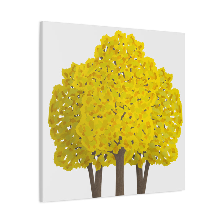 Big Leaf Maple Canvas Print – Wall Art