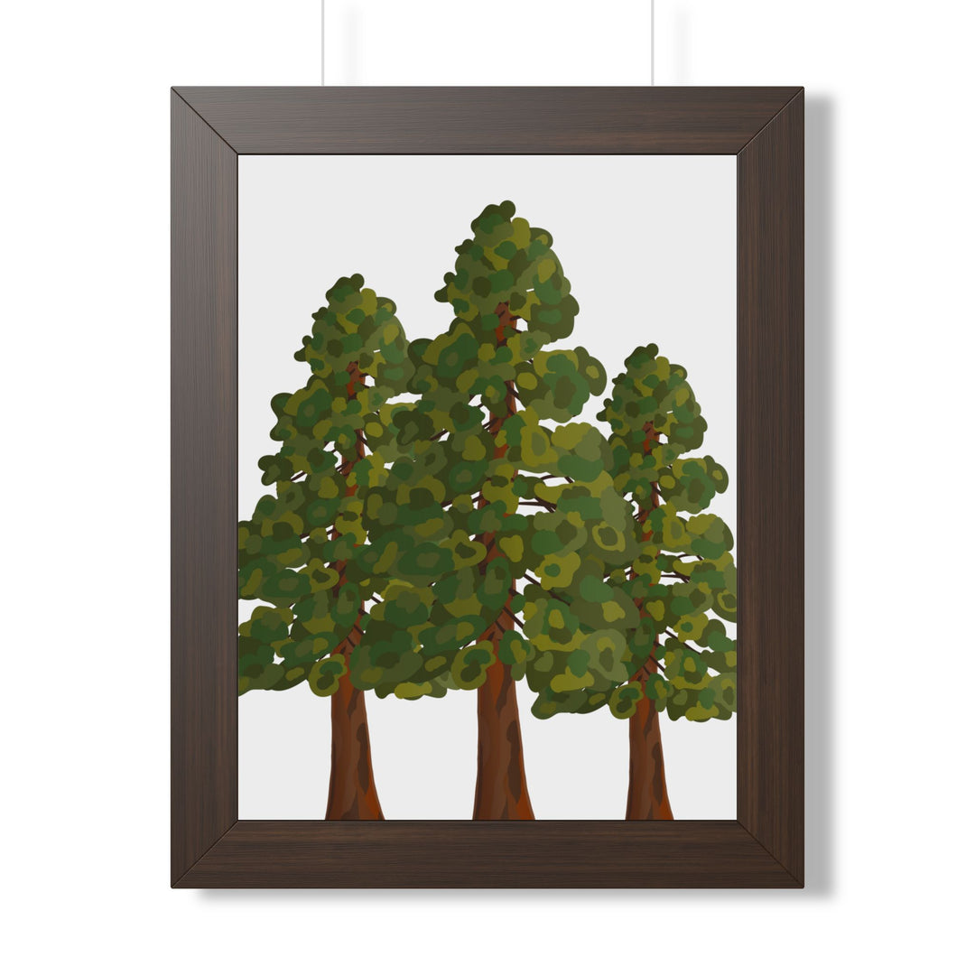 Coastal Redwood Framed Print – Wall Art