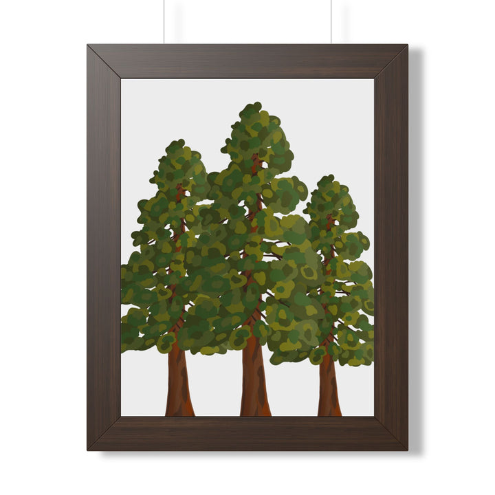 Coastal Redwood Framed Print – Wall Art