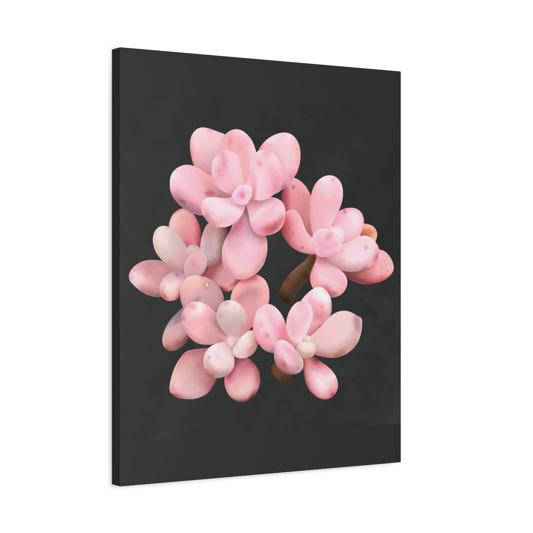 Pink Moonstone Canvas Print – Botanical Wall Art