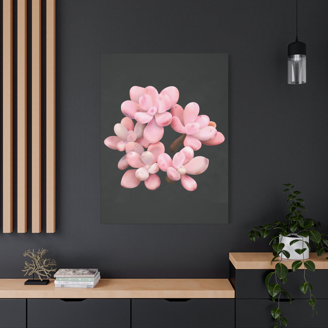 Pink Moonstone Canvas Print – Botanical Wall Art