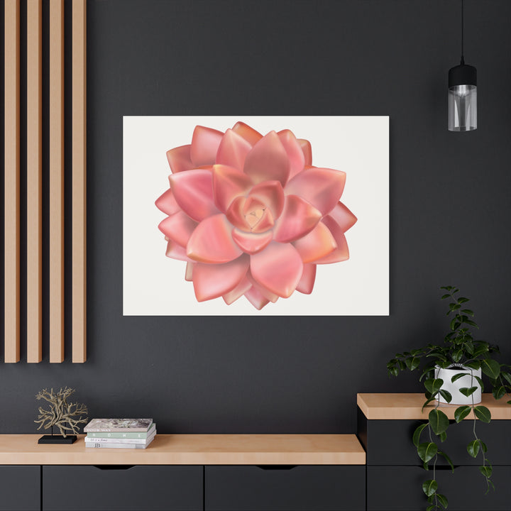 Succulent Canvas Art California Sunset Rosette Botanical Wall Art Print The Potted Pixel