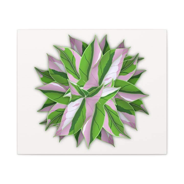 Syngonium Tricolor Canvas Print – Botanical Wall Art - The Potted Pixel