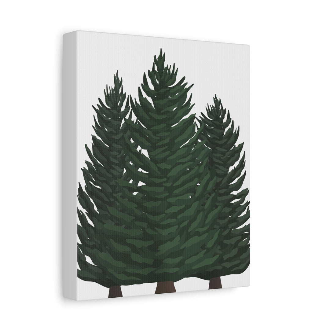 Douglas Fir Canvas Print – Wall Art
