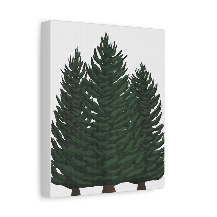 Douglas Fir Canvas Print – Wall Art