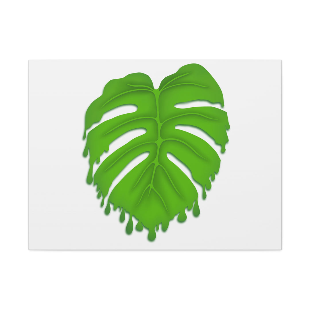 Melting Monstera Canvas Wall Art Large Botanical Print On Premium Cotton With Matte Finish For Indoor Decor