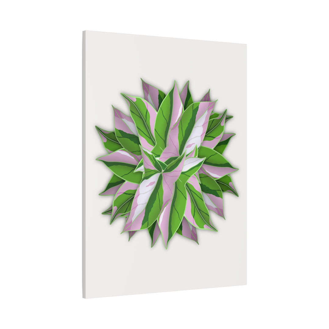 Syngonium Tricolor Canvas Print – Botanical Wall Art - The Potted Pixel