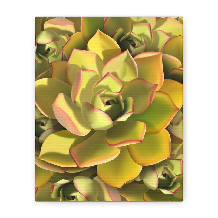 Succulent Canvas Art Vibrant Aeonium Print On Matte Canvas Wall Decor 12x18 Inches Indoor Home