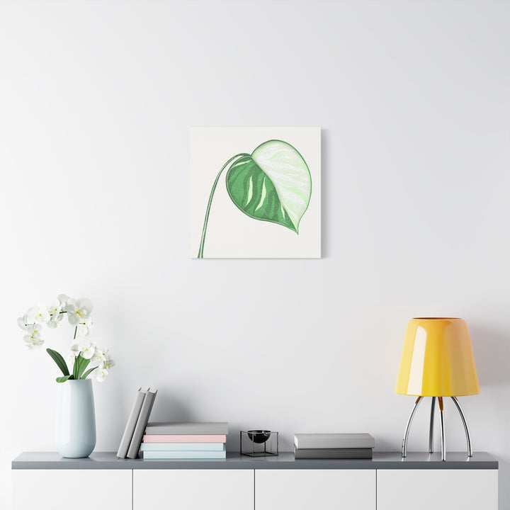Monstera Albo Canvas Large Stretched Premium Quality Cotton Canvas Wall Art Tropical Leaf Poster Decor