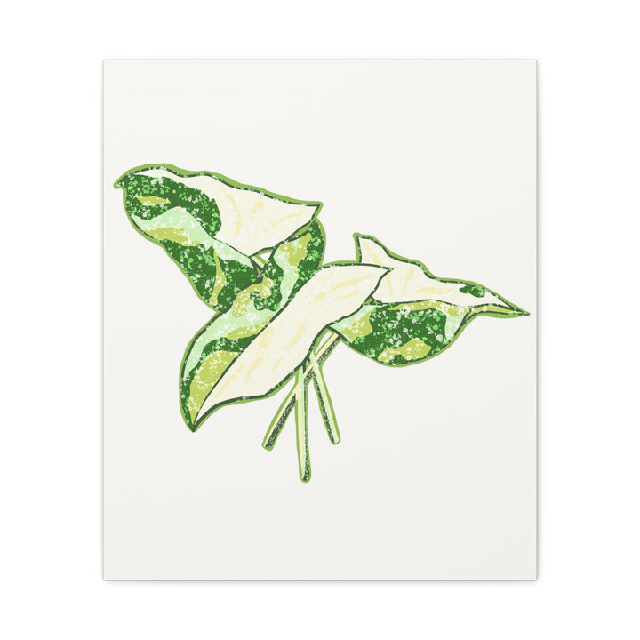 Marble Syngonium Canvas Botanical Wall Art Stretched Print On Durable Cotton Canvas Matte Finish