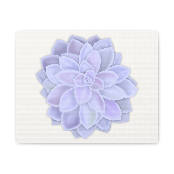 Succulent Canvas Art Pastel Rosette Canvas Durable Cotton Print Botanical Wall Art